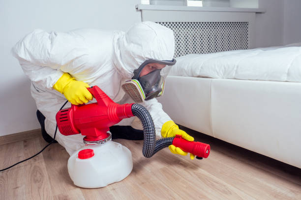 Best Residential Pest Control  in Buxton, NC